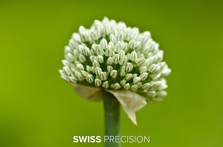 Swiss Precision