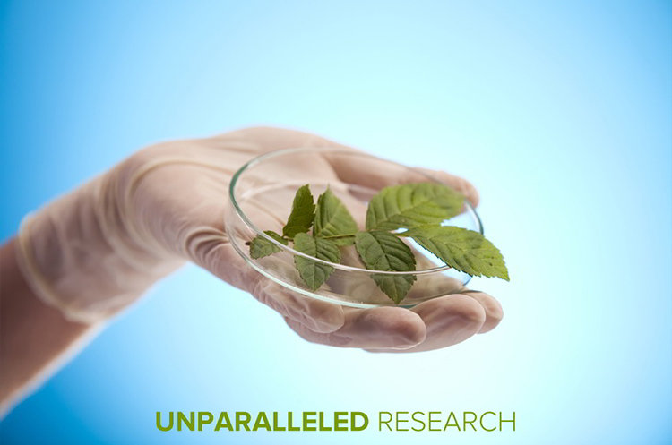 Unparalleled Research